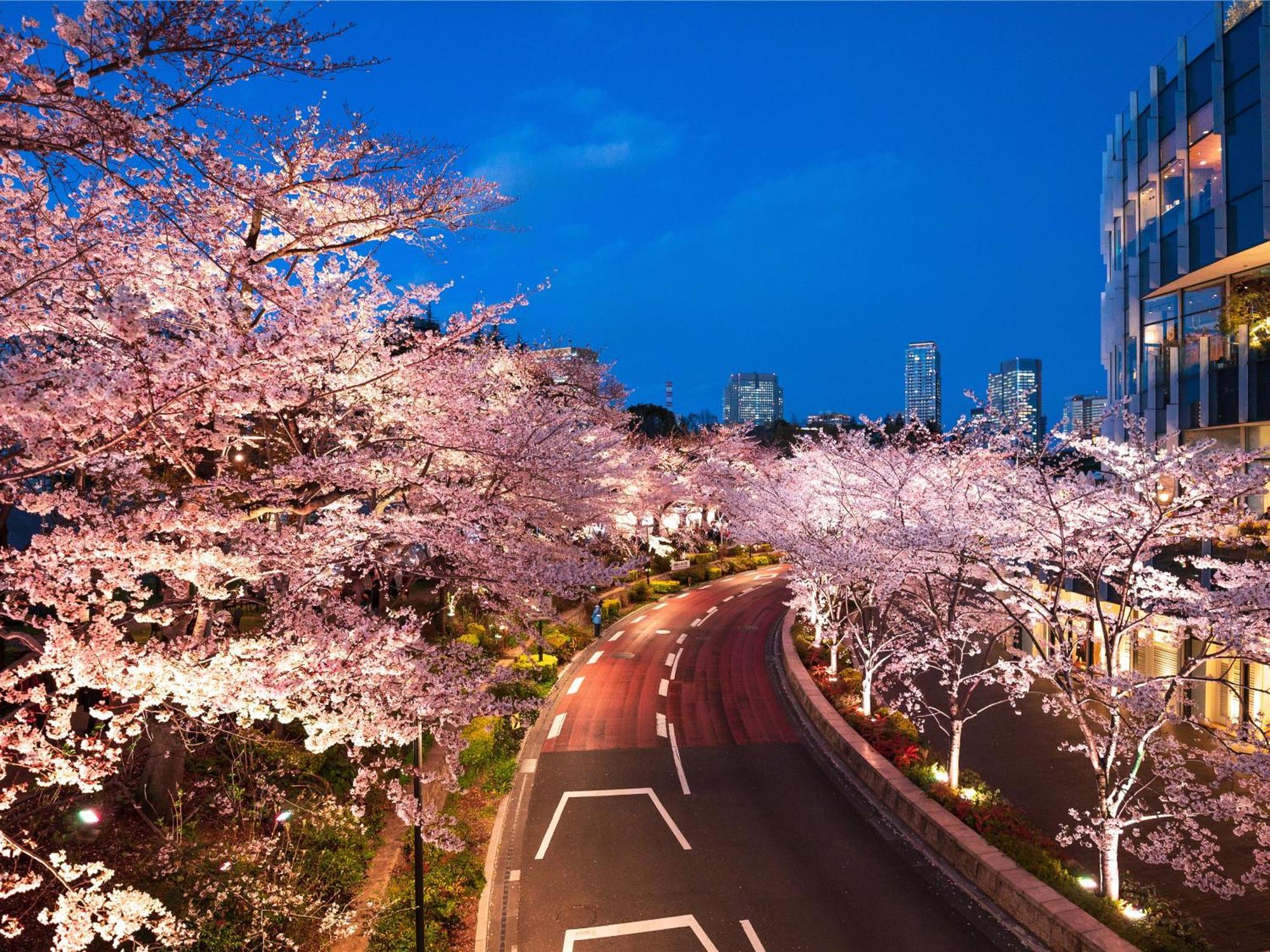 Отель Mimaru Tokyo Akasaka Экстерьер фото